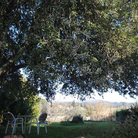 Agriturismo Fattoria Di Malavolta Florens Exteriör bild
