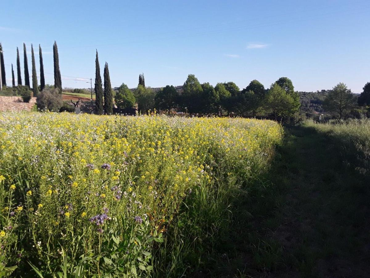 Agriturismo Fattoria Di Malavolta Florens Exteriör bild