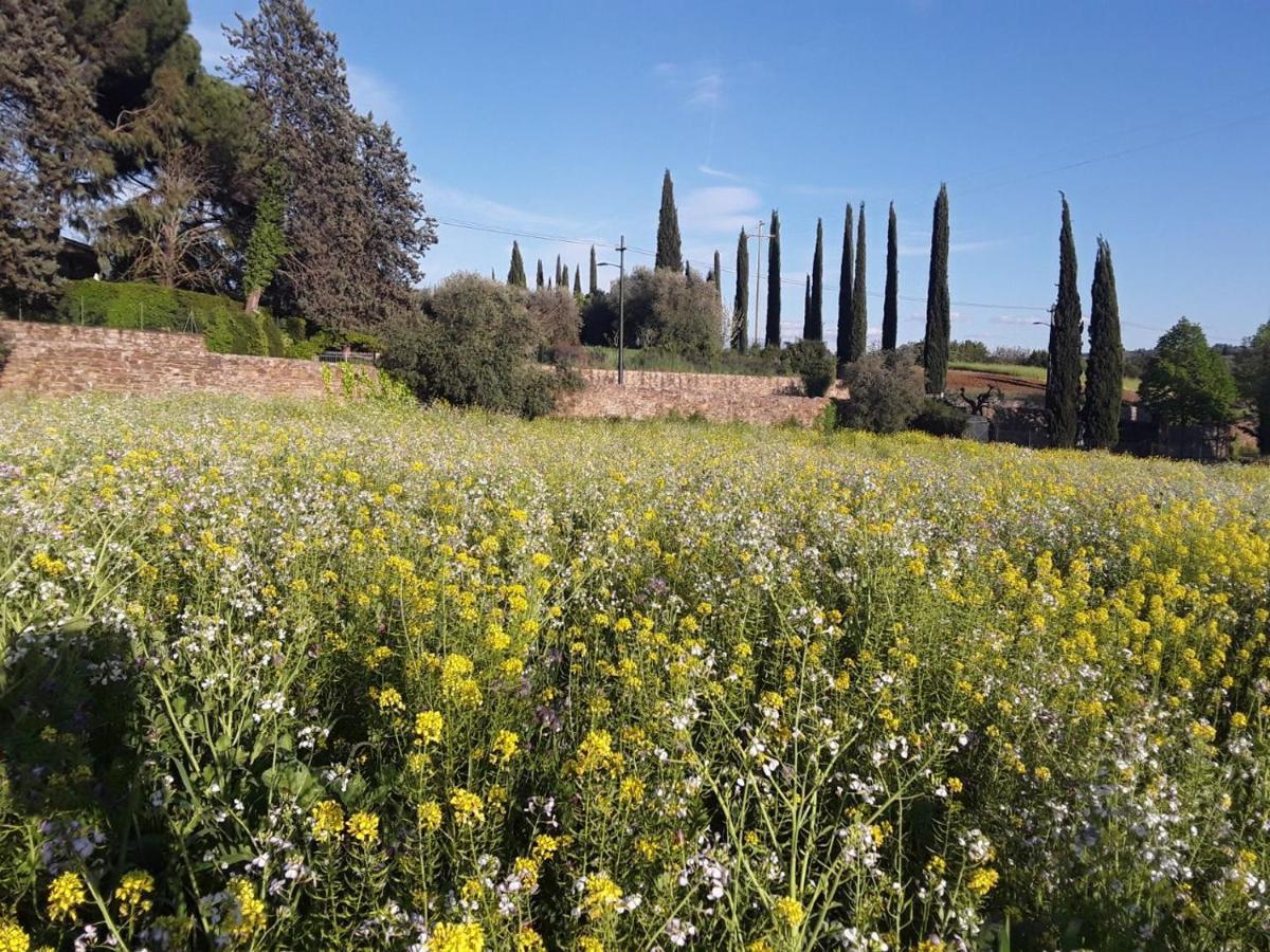 Agriturismo Fattoria Di Malavolta Florens Exteriör bild